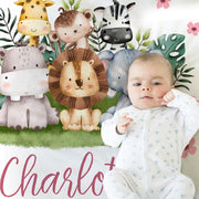 Safari Animals baby blanket, girl personalized safari baby gift, safari nursery